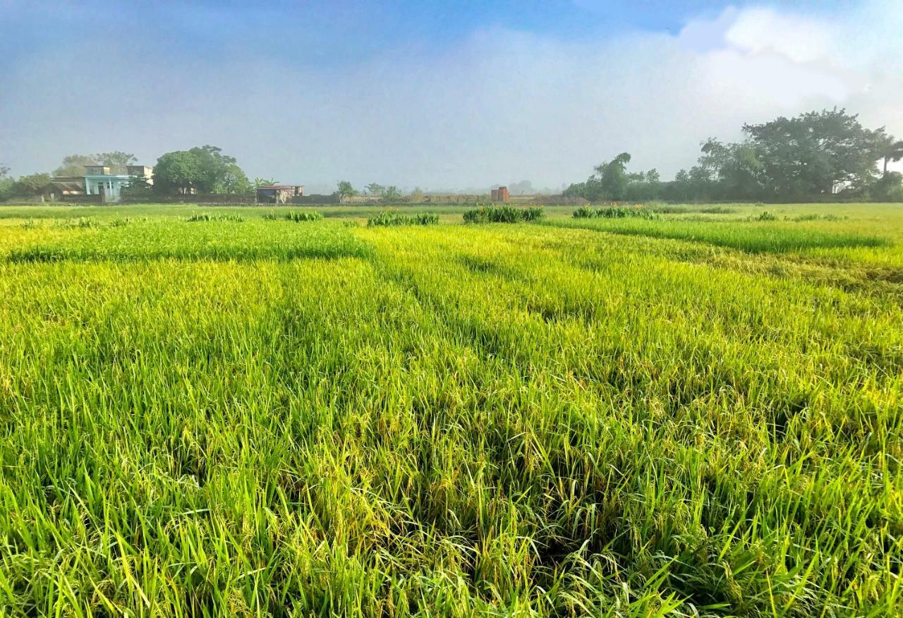 May Homestay - Tam Coc Local Village Ninh Binh Exterior foto